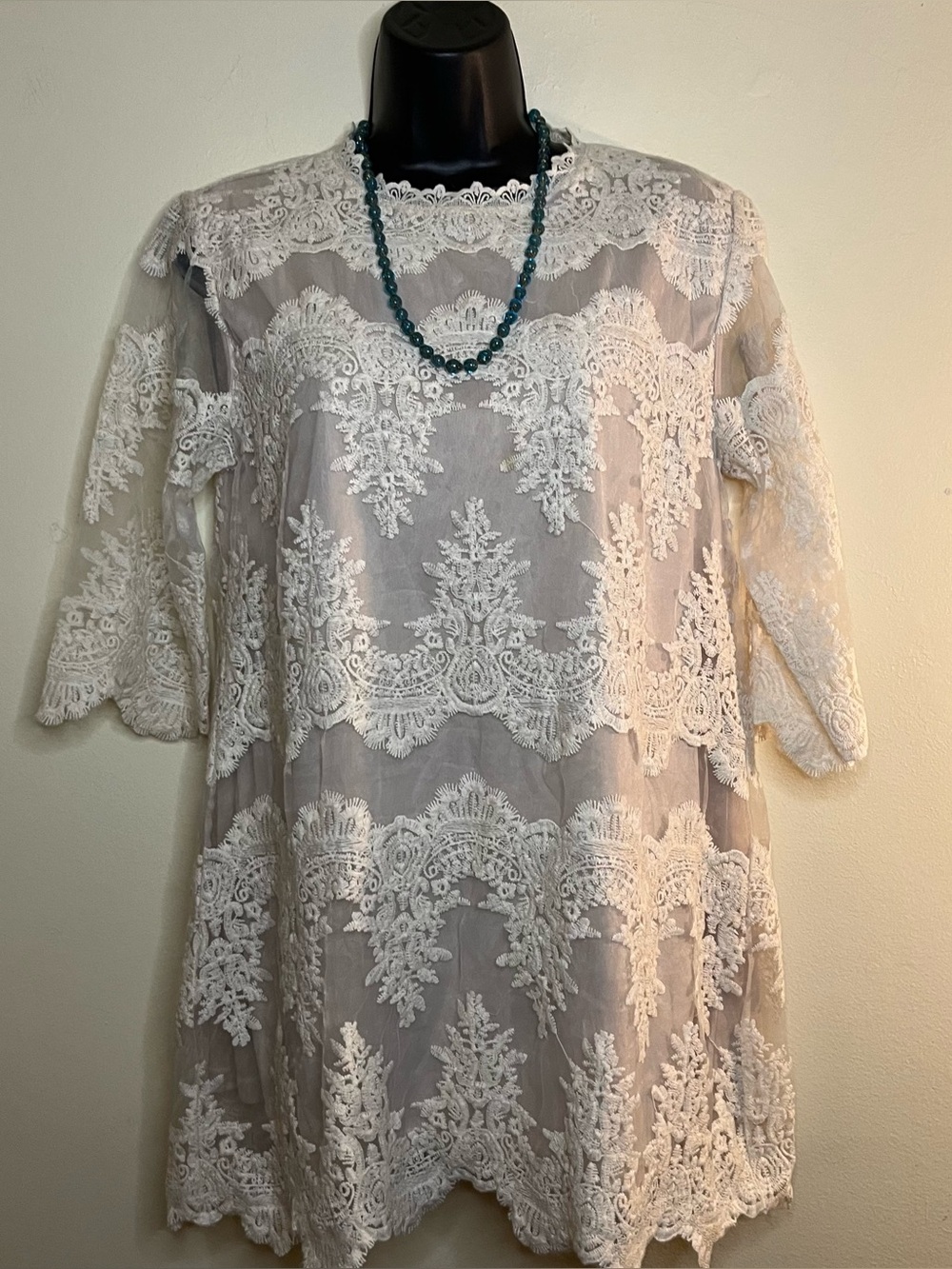 Embroidered Lace Mini Dress in White by Love